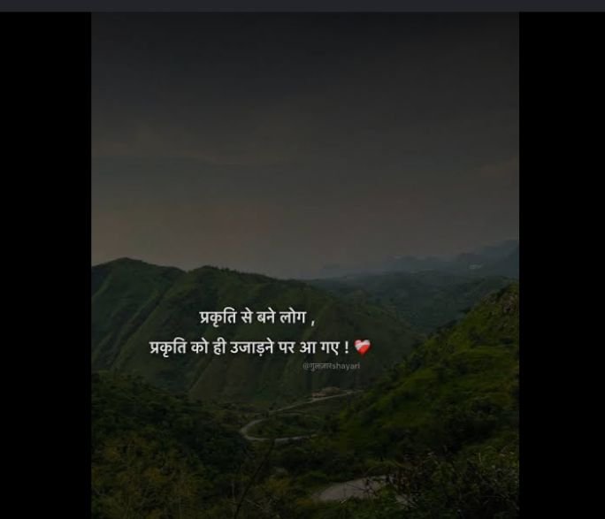 40+Shayari to Turn Dreams into Reality